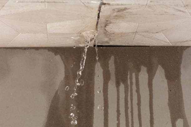 Professional Water Extraction technician working in Industry, TX
